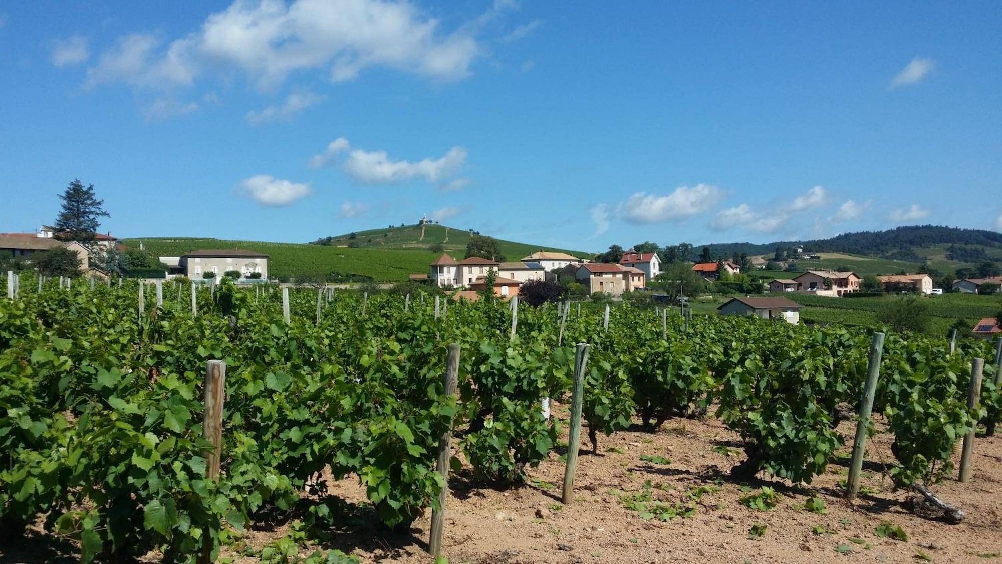 Logis Hotel Des Grands Vins Fleurie Exterior photo