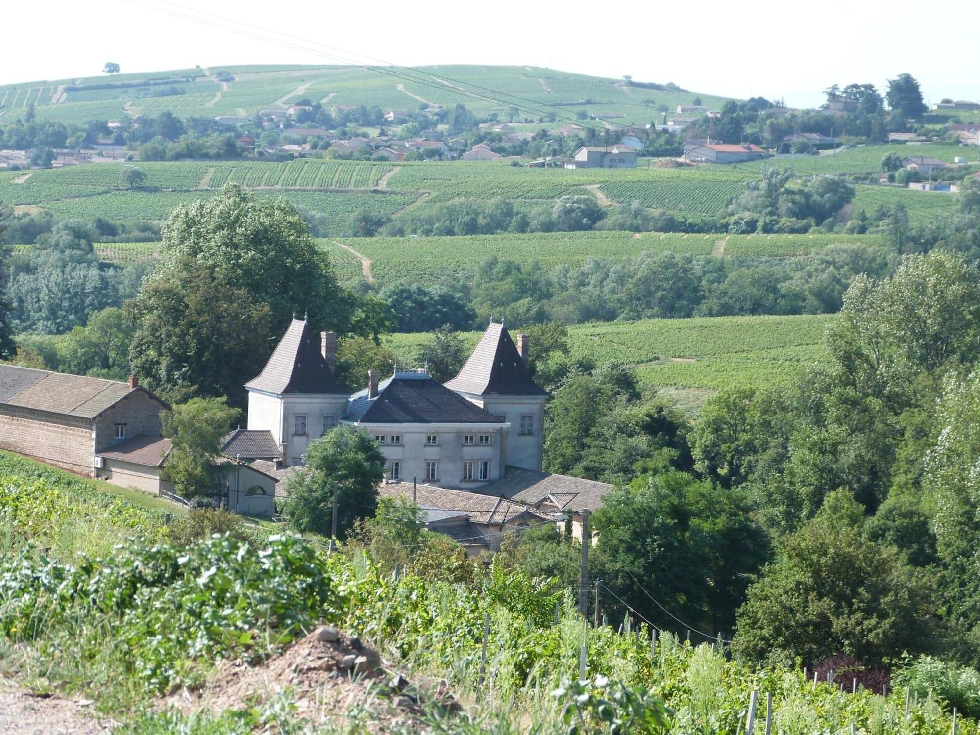 Logis Hotel Des Grands Vins Fleurie Exterior photo